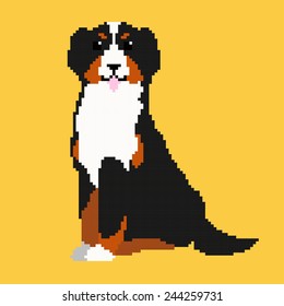 Pixel Bernese Mountain Dog 