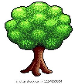 Pixel big tree detailed and realistic isolated vector