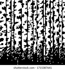 Pixel Birch Grove. Vector illustration. National Russian tree background