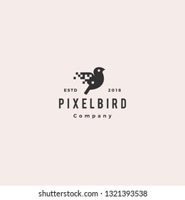 pixel bird digital logo hipster retro vintage vector icon illustration
