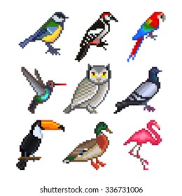 Pixel birds for games icons high detailed vector set