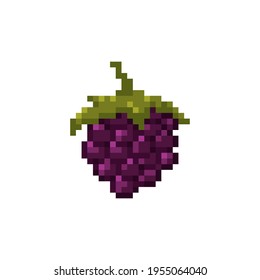 Pixel blackberry illustration. Isolated pixel art blackberry icon vector.