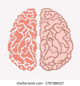 Pixel brain. Pixel art 8 bit. Human brain.