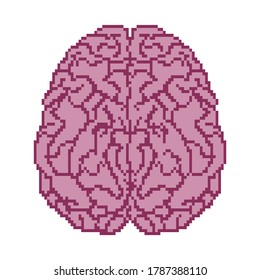  Pixel brain. Pixel art 8 bit. Human brain.