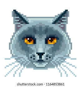 Pixel british blue cat face isolated vector photo-realistic illustration