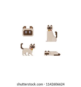 Pixel burmese cat.8bit character.