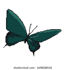 Pixel butterfly. Pixel art 8 bit vector. Pixel background.