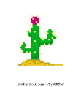 Pixel Cactus Games Applications Stock Illustration 1046982646