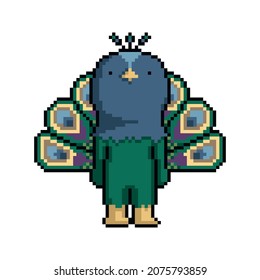 Pixel cartoon funny peacock on a white background.