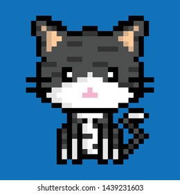 Pixel Cat Animal Blue Bit
