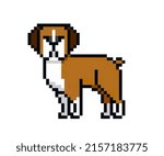 Pixel character - Boxer dog for games, applications and print
