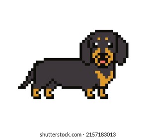 Pixel character - dachshund dog for games, applications and print