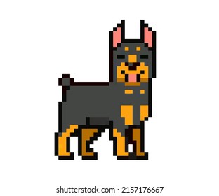 Pixel character - doberman dog for games, applications and print