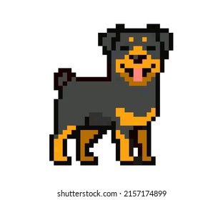 Pixel character - rottweiler dog for games, applications and print