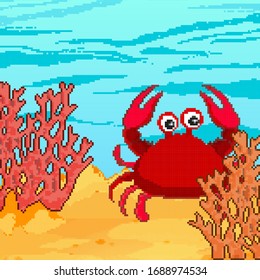 Pixel coral reef and sea crab. Pixel art vector illustration 8 bit