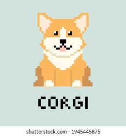 Pixel Corgi dog. Isolated vector illustration on colored background.