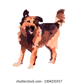 Pixel dog. 8 bit art. Vector illustration happy puppy. 