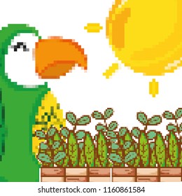 Pixel exotic birds