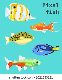 Pixel exotic fish isolated on a bright background. For games and mobile applications.