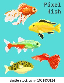 Pixel exotic fish isolated on a bright background. For games and mobile applications.