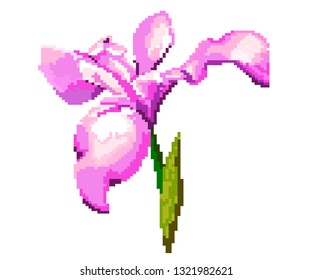 Pixel fleurde luce for games and applications - Vektorgrafik. Iris flower vector illustration. Flower icon. Colourful.