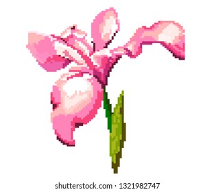 Pixel fleurde luce for games and applications - Vektorgrafik. Iris flower vector illustration. Flower icon. Colourful.