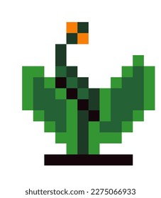 Pixel flower in blossom, blooming and flourishing spring or summer plant with stems and leaves. Plant and botany. Pixelated isolated icon for 8 bit video game, retro design. Vector in flat style