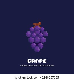 Pixel grape icon vector illustration