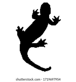 Pixel lizard. Pixel art 8 bit. 