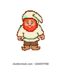 pixel male funny cartoon gnome