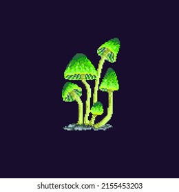 Pixel mushroom. Forest mushroom isolated on dark background. Vector illustration