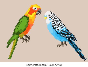 Pixel parrots isolated on a blue background.