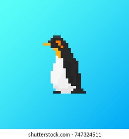 Pixel penguin for games and applications