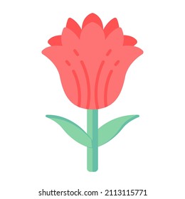 pixel Perfect and Blooming Flowers