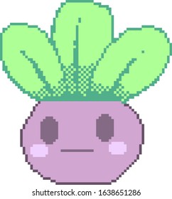 Pixel plant succulent with face for games and applications
