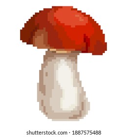 Pixel porcini mushrooms. Pixel art 8 bit