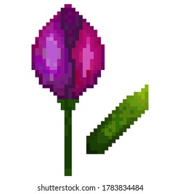 Pixel purple tulip. Icon is useful and simple.