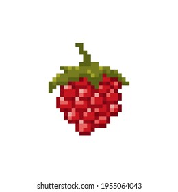 Pixel raspberry illustration. Isolated pixel art raspberry icon vector. 8 bit