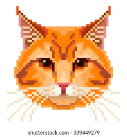 Pixel red cat face high detailed isolated vector