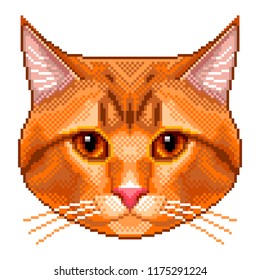 Pixel red cat portrait detailed isolated vector illustration