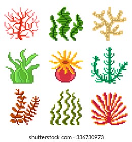 Pixel seaweed for games icons high detailed vector set