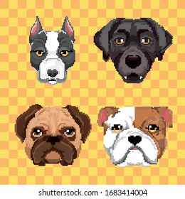 Pixel set dogs portrait detailed isolated vector illustration