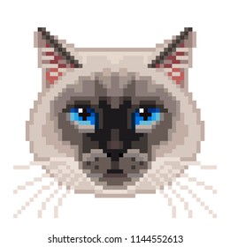 Pixel siamese cat face isolated vector photo-realistic illustration