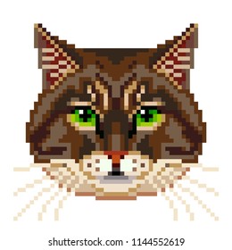 Pixel siberian cat face isolated vector photo-realistic illustration