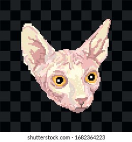 Pixel sphinx cat portrait detailed isolated vector illustration