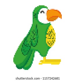 pixelated exotic parrot bird with beauty feathers