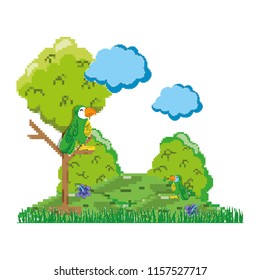 pixelated nature clouds and parrots in the trees