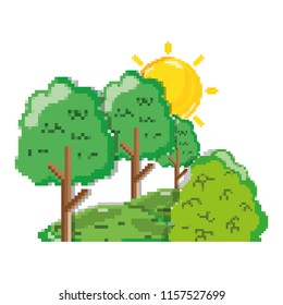 pixelated sun weather and exotic trees