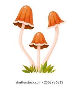 Pixie cap mushroom, fairy milkcap. Edible forest mushroom. Forest grass and leaves. Cartoon vector illustration on a white background.