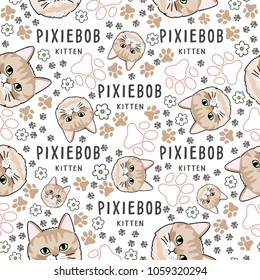 Pixiebob : Cat breed collection : Seamless Pattern : Vector Illustration
